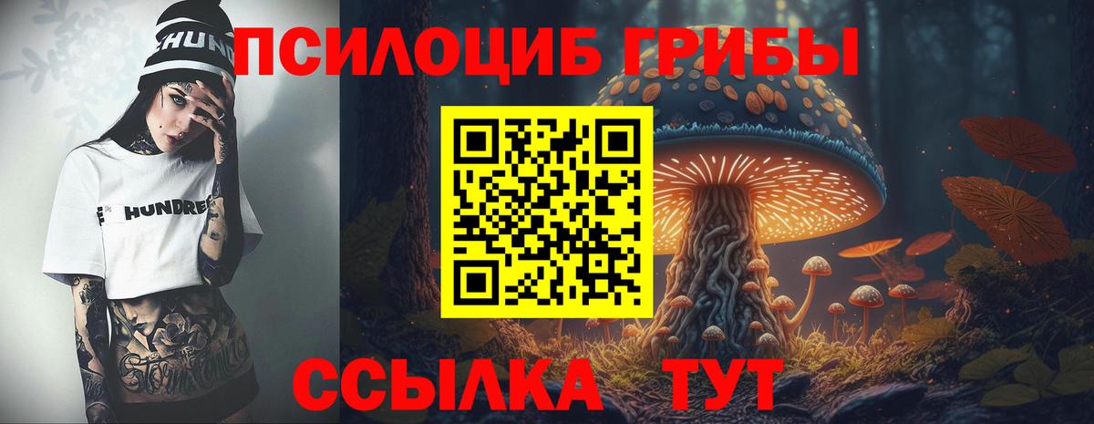 Галлюциногенные грибы Psilocybe  Псилоцибиновые грибы Magic Shrooms  Вход с VPN  Первоуральск 